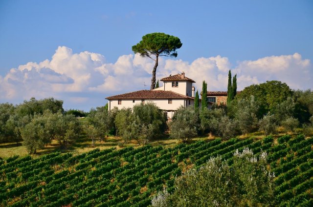 Spanisches Flair - Haus am Weingut von Weinböhla zu verkaufen