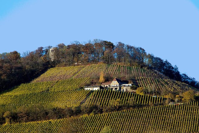 großes Weingut zu verkaufen